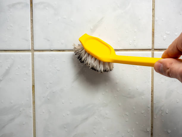 Best Certified Mold Removal  in One Loudoun, VA