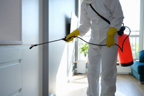 Best Toxic Mold Removal  in One Loudoun, VA
