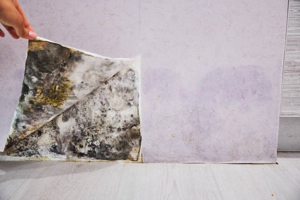 Water Damage Restoration in One Loudoun, VA